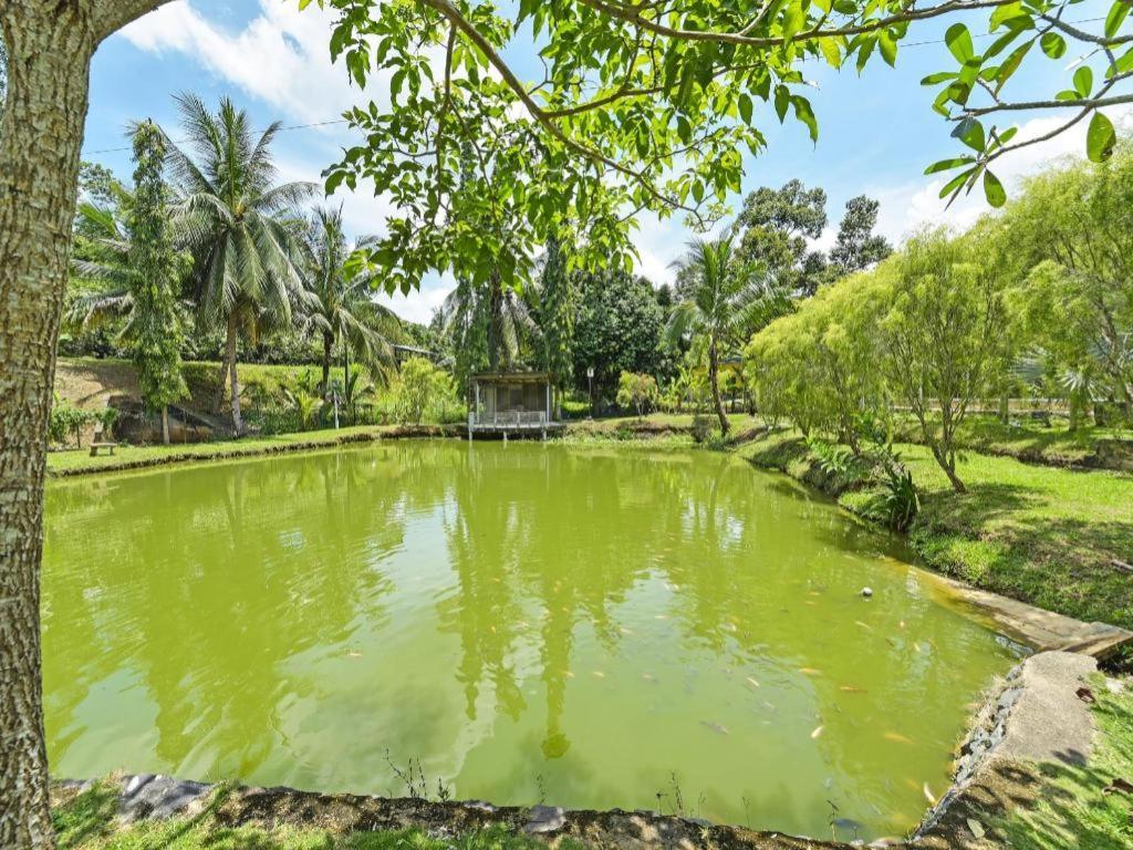 Oyo 90636 Teratak Zakiah Chalet Jerantut Exterior photo
